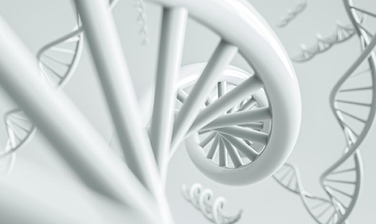 Polymerase chain reaction (PCR)